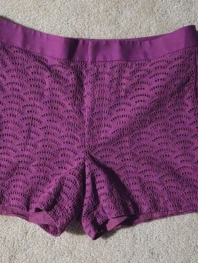 Calvin Klein Purple Scalloped Eyelet Lace Shorts Magenta Size 12